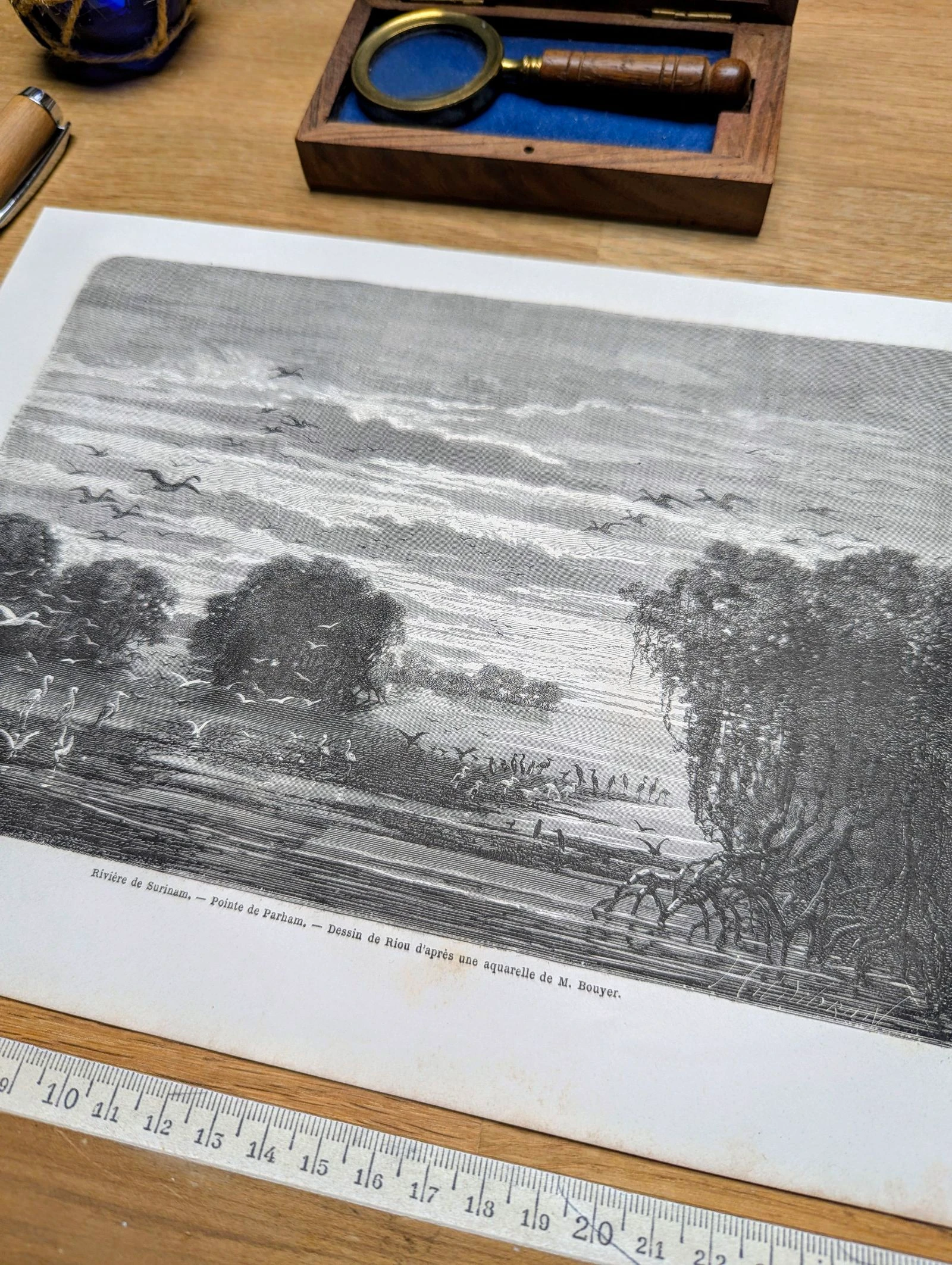 Rivière de Surinam, Parham. Ilustração impressa em 1866. – photo 3